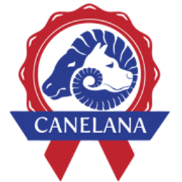 Canelana